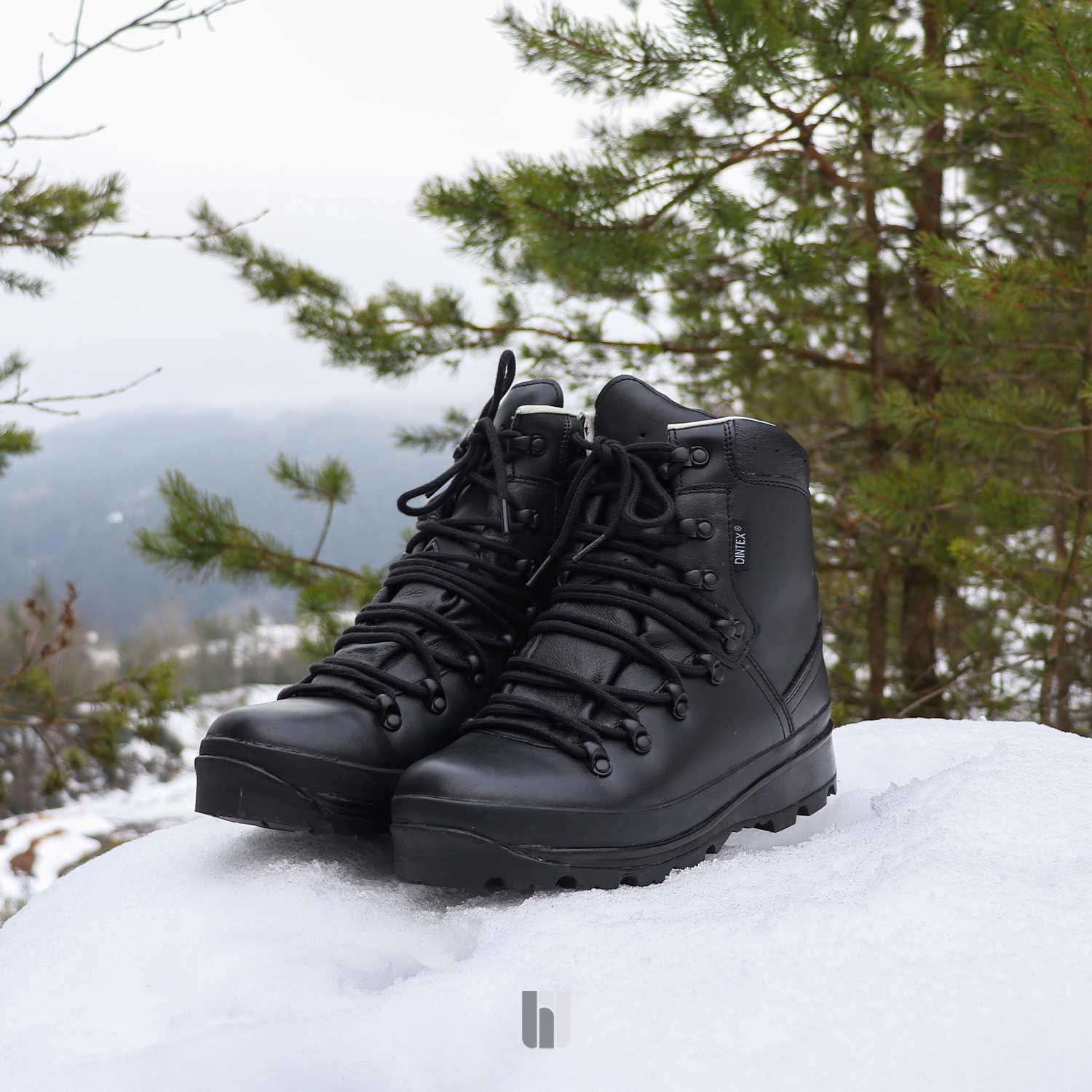 BW Bergschuhe m. Laminatfutter