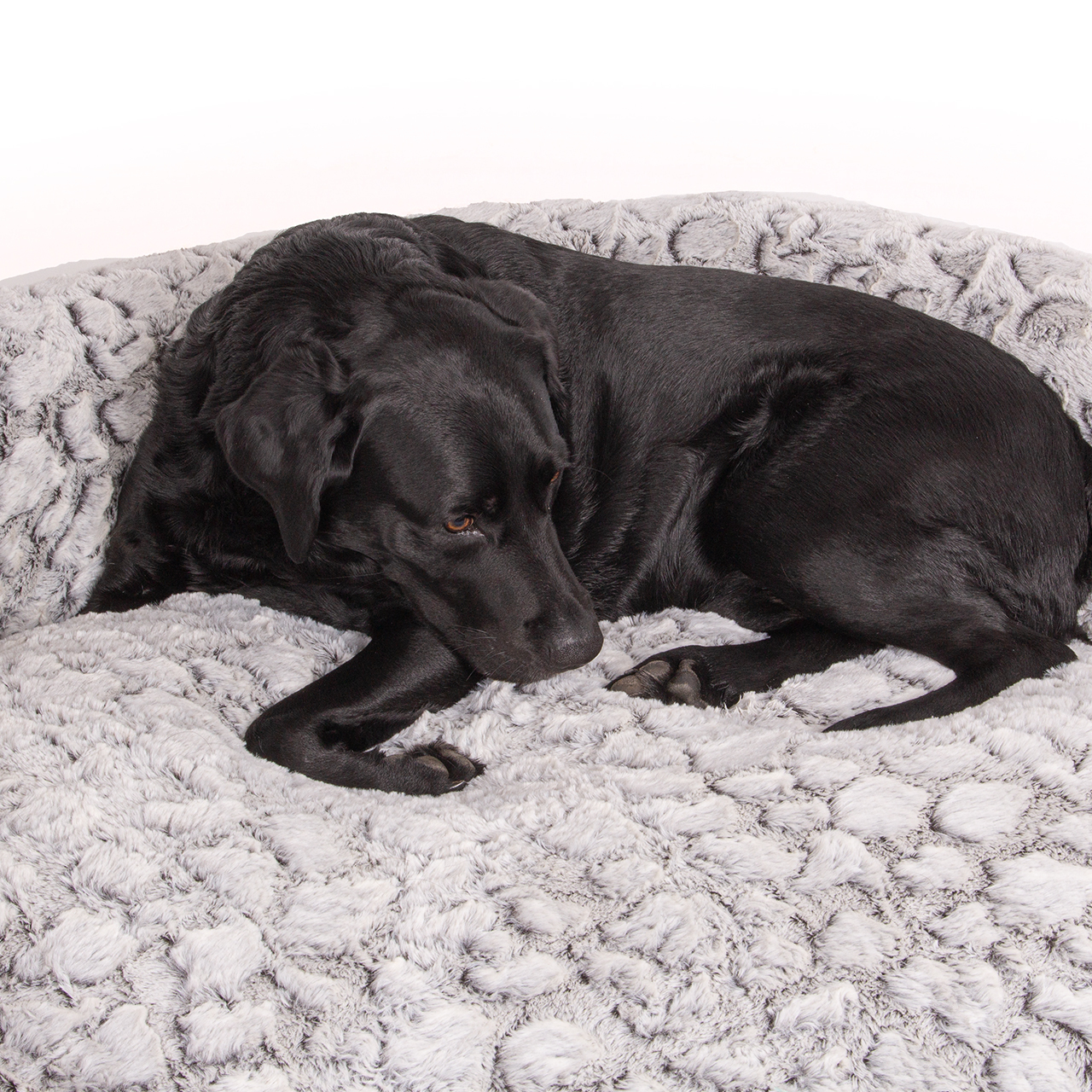 Wallace & Jones Hundebetten Wallace & Jones Hundebett Cordo-Heaven M