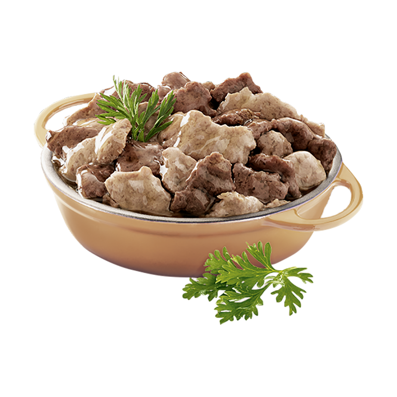 Cesar Hundenassfutter Cesar Landragout 14x150g Truthahn, Rind und Kräutern