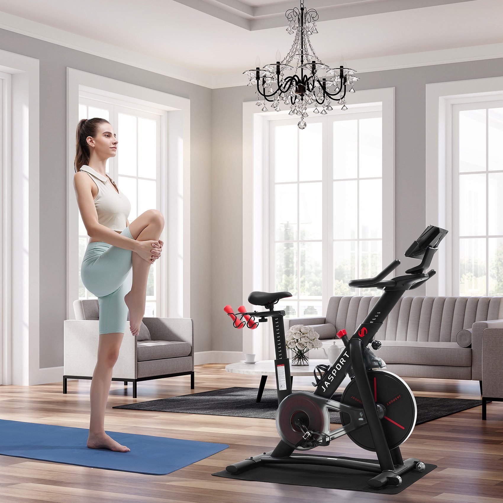 JASPORT Speedbike JAS-S3, Besondere Merkmale