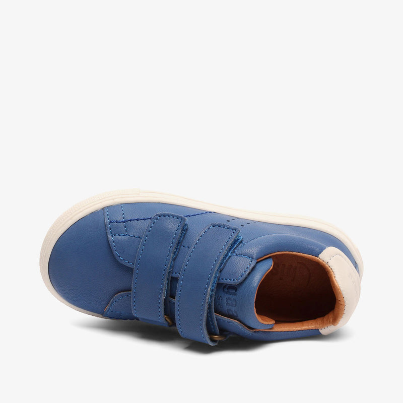 jayden s cobalt - Blau