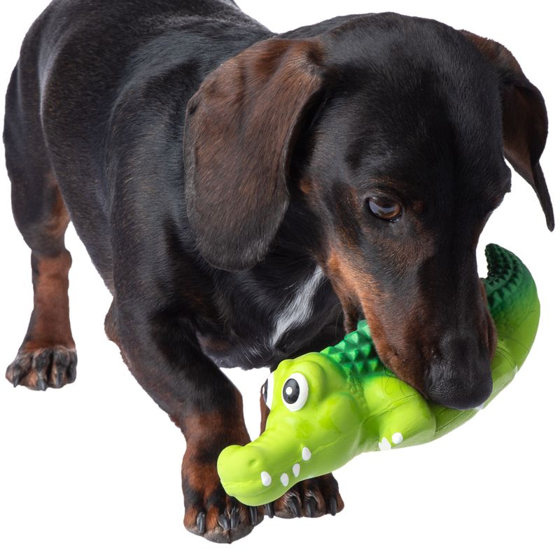 Hundespielzeug Latex Crocodylus zu TOP-Preisen