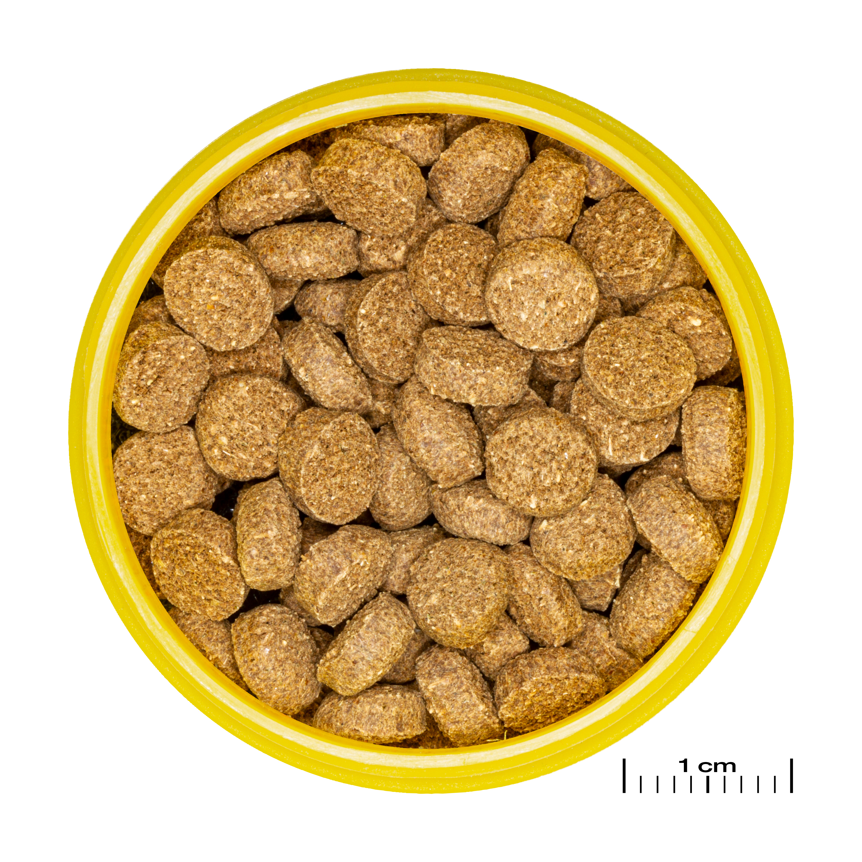 JBL Hauptfutter JBL PRONOVO Hauptfutter-Wafer für Krebse, Krabben Scherengarnelen M 100 ml