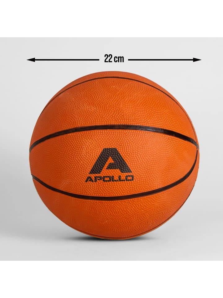 Apollo Basketball Kinder 