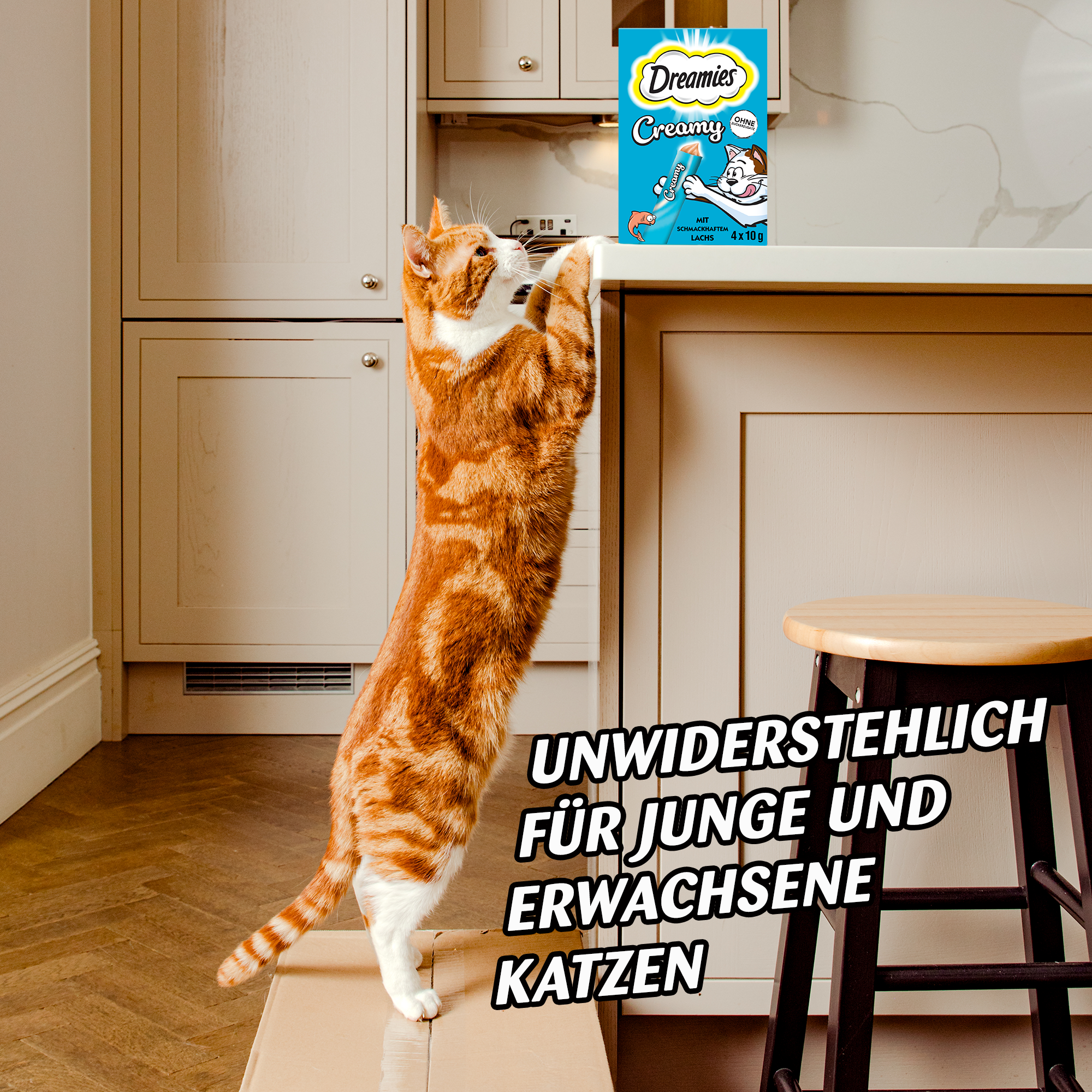 Dreamies Snacks Dreamies Creamy Snack 4x10g Lachs