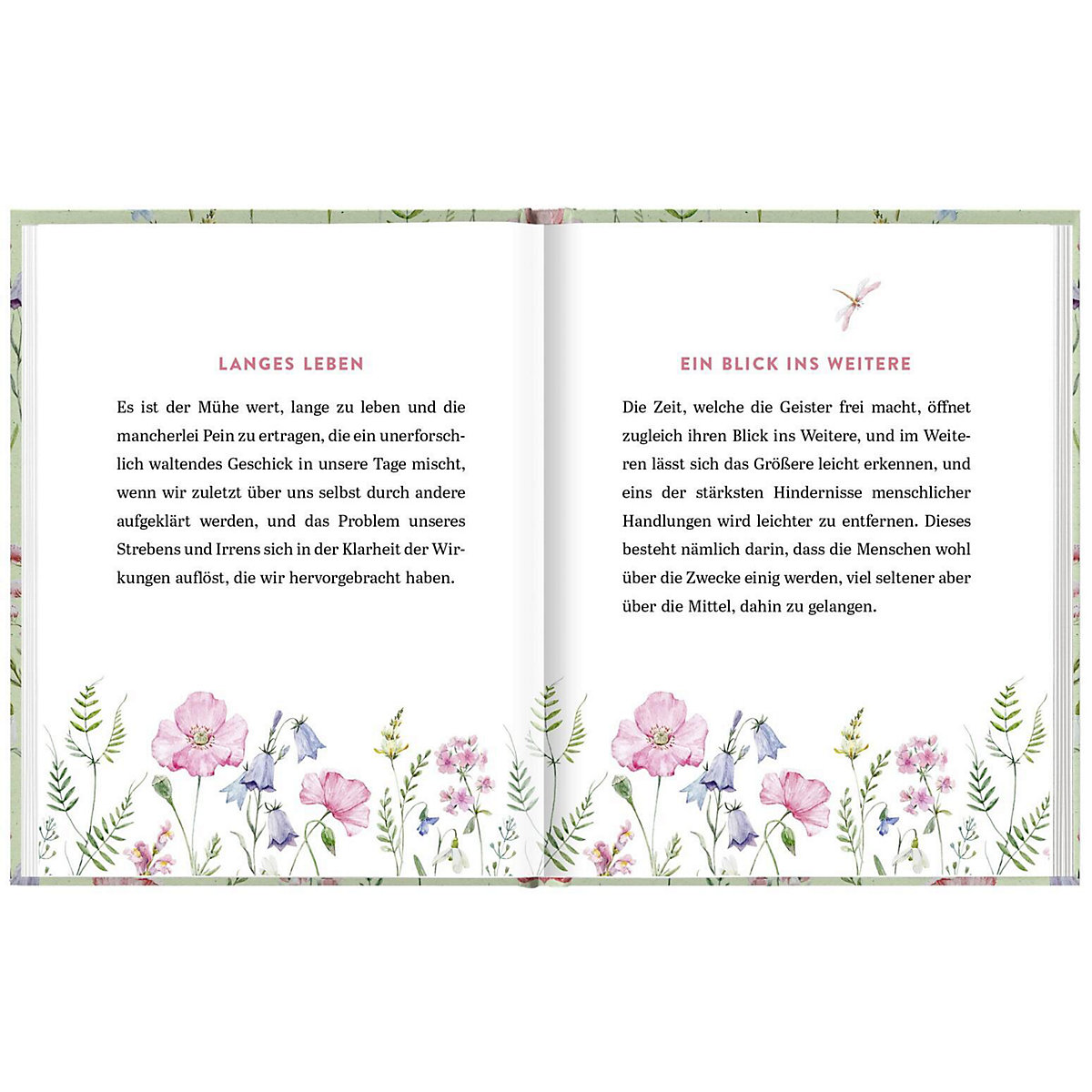 Die schönsten Worte zum Geburtstag von Johann Wolfgang von Goethe