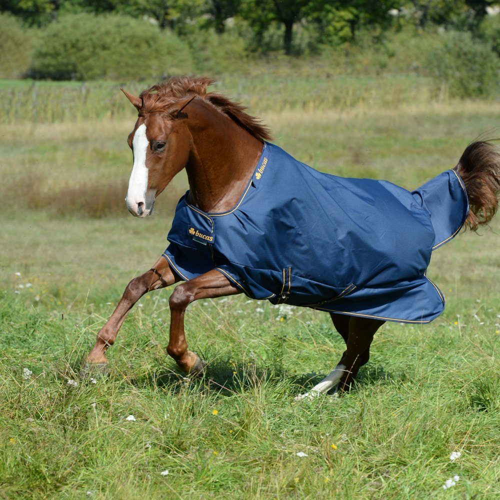Bucas Pferde-Thermodecke Bucas Irish Turnout Medium 150g Classic - navy/gold