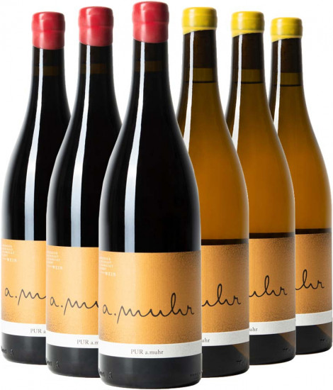 PUR Probierpaket - Weingut Andreas Muhr