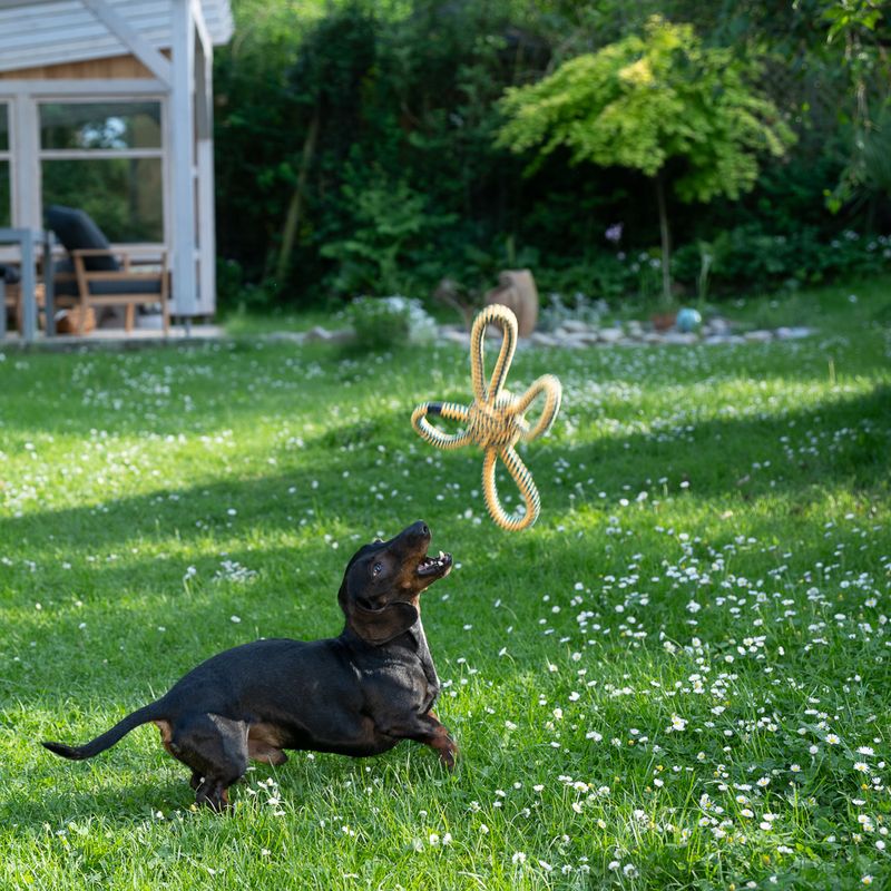 Nomad Tales Spirit Fliegender Seil-Ball zu TOP-Preisen | bitiba %