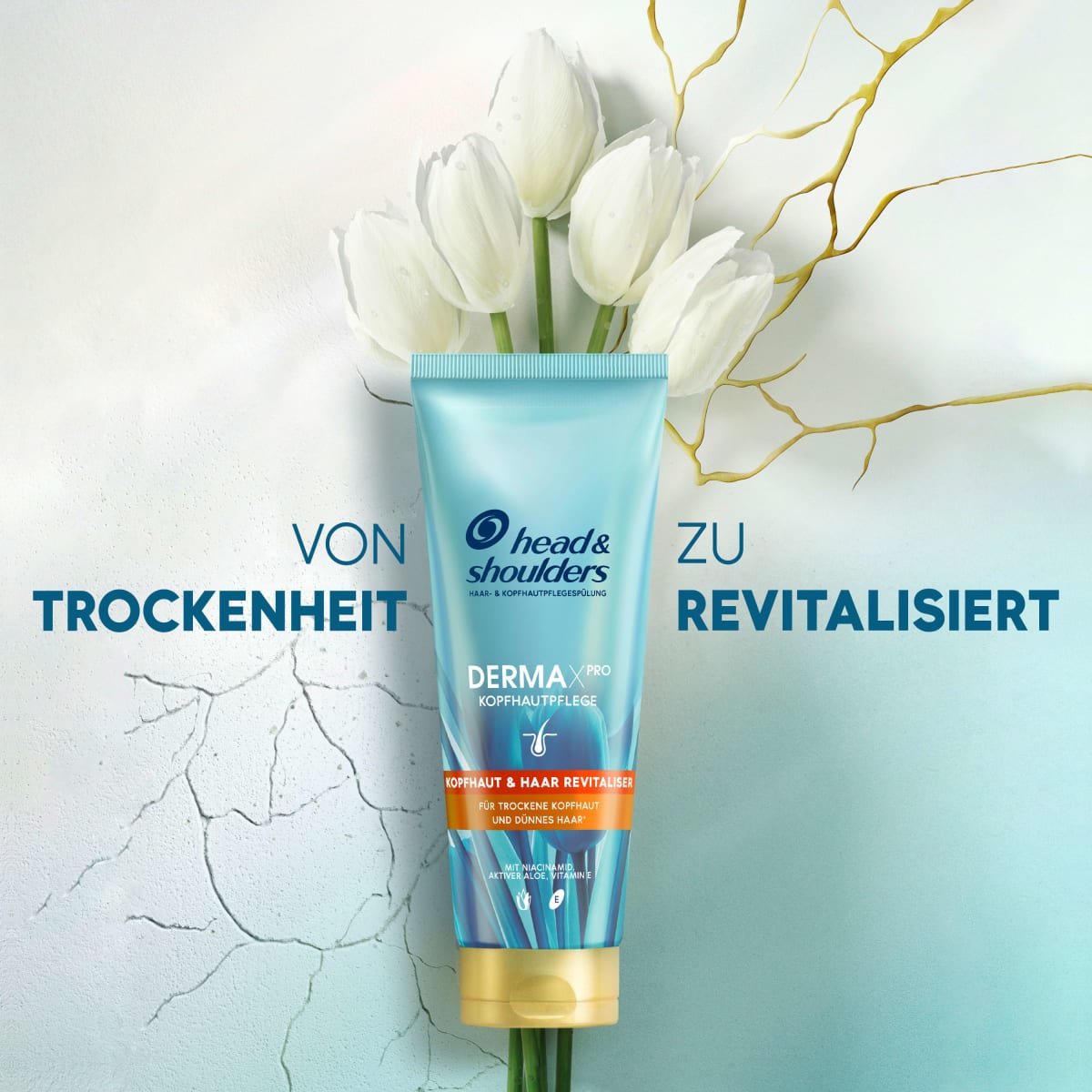 Conditioner Derma x Pro Kopfhaut & Haar Revitaliser, 220 ml