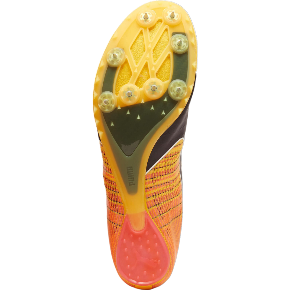 PUMA evoSPEED FUTURE 6 380023-001 / orange