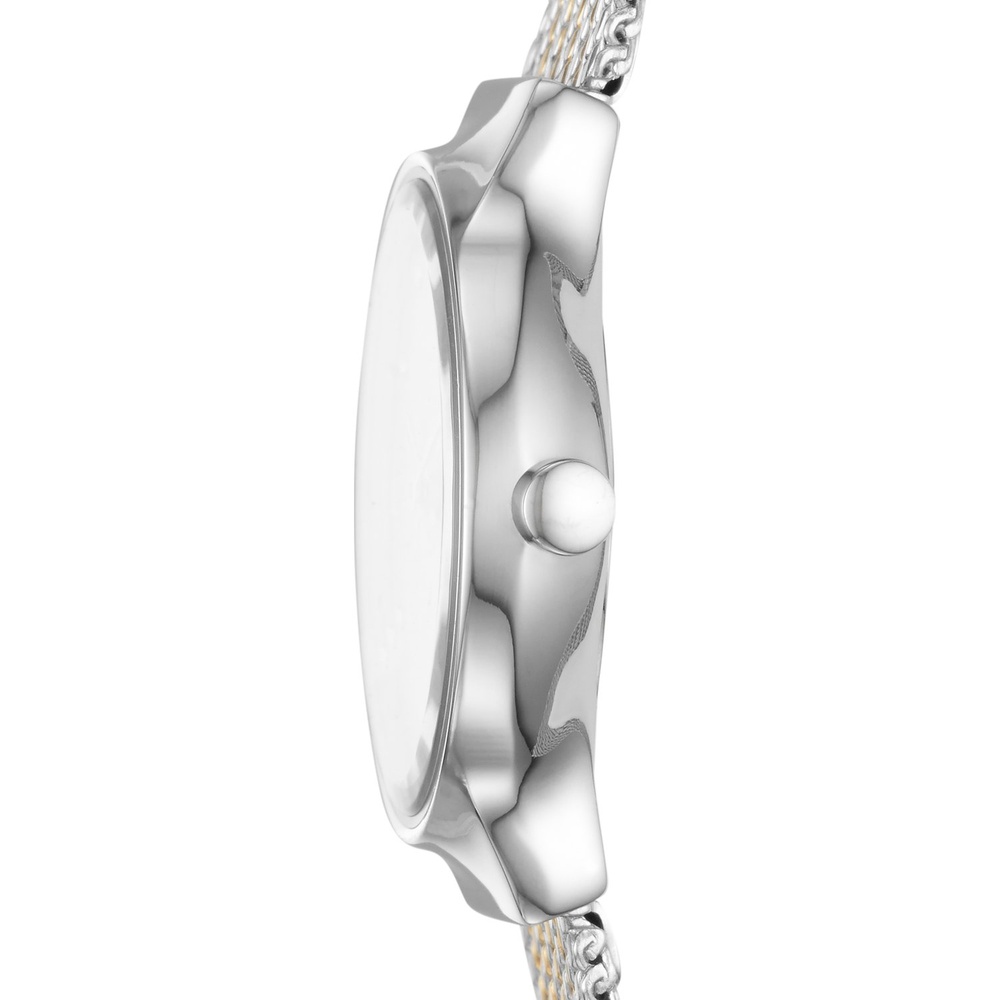 Skagen Montre pour femme Acier inoxydable Montre