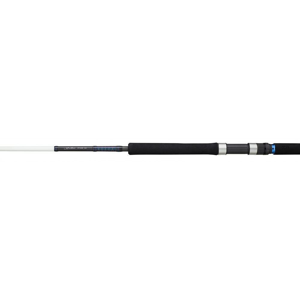 Canna da casting Daiwa Saltist 802 H 2,44 m 40/50 libbre