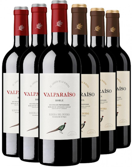 Bodegas Valparaiso Kennenlern-Paket - Bodegas Valparaiso