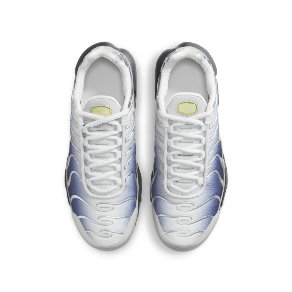 Nike Air Max HF0030-001 / grau