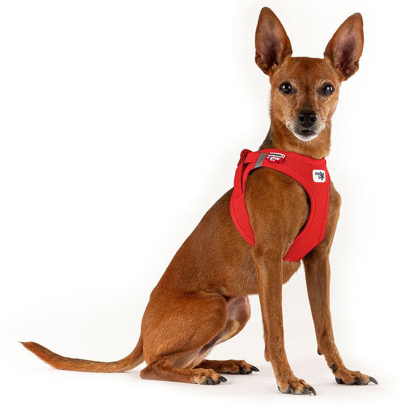 Curli Vest Geschirr Clasp Air-Mesh - rot zu TOP-Preisen | bitiba