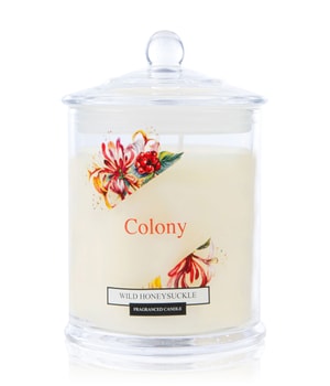 Wax Lyrical Colony Wild Honeysuckle Duftkerze 0.685 kg