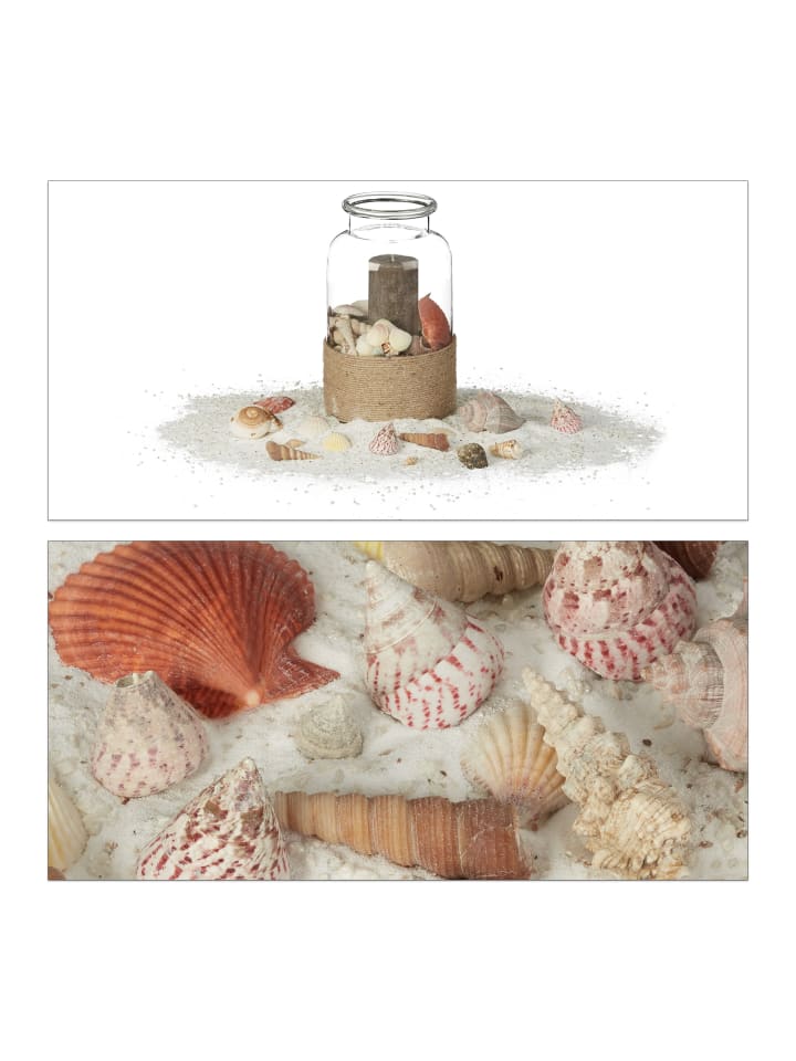 relaxdays Muschel Deko Set in Bunt - 1 kg günstig kaufen onesize