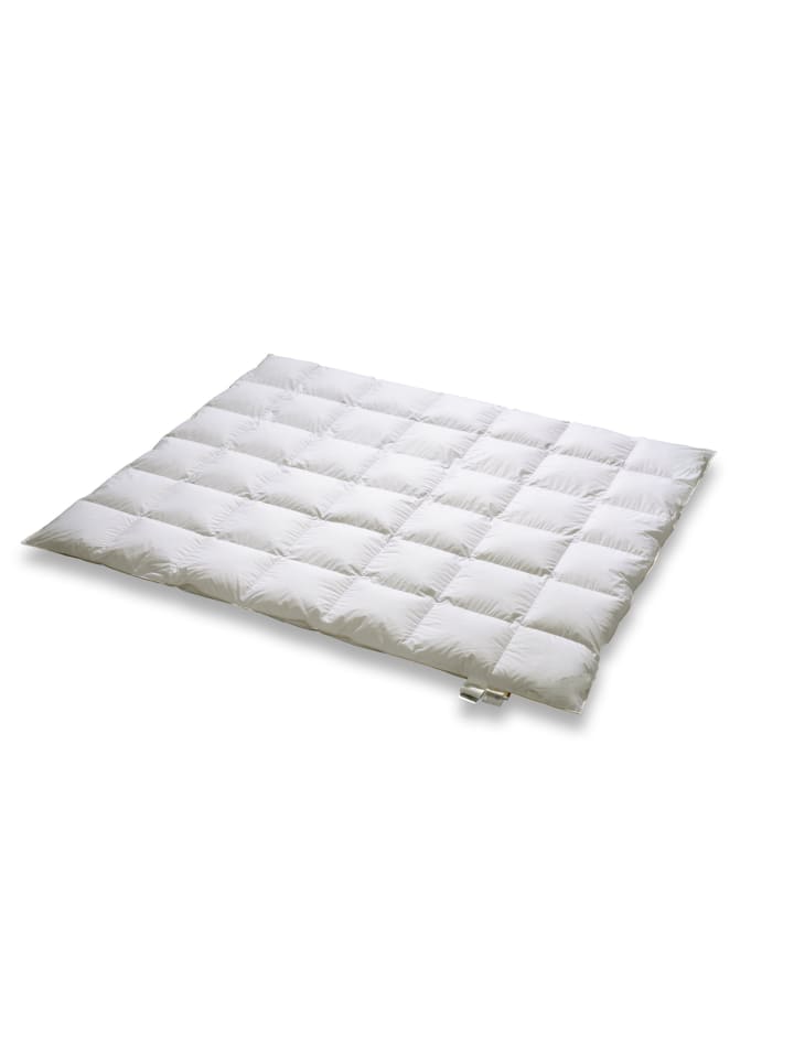 ARO ARTLÄNDER Dauneneinziehdecke Ganzjahresdecke  günstig kaufen 220x240 cm