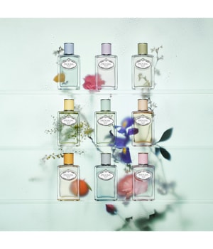 Prada Les Infusions Iris Eau de Parfum-100 ml