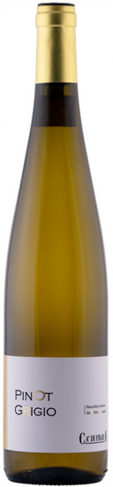 2021 Pinot Grigio selezione DeI 20 Anni Oltrepò Pavese DOC - Ca’di Frara
