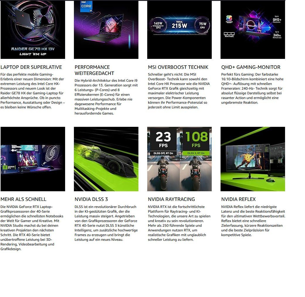 MSI Raider Laptop,17