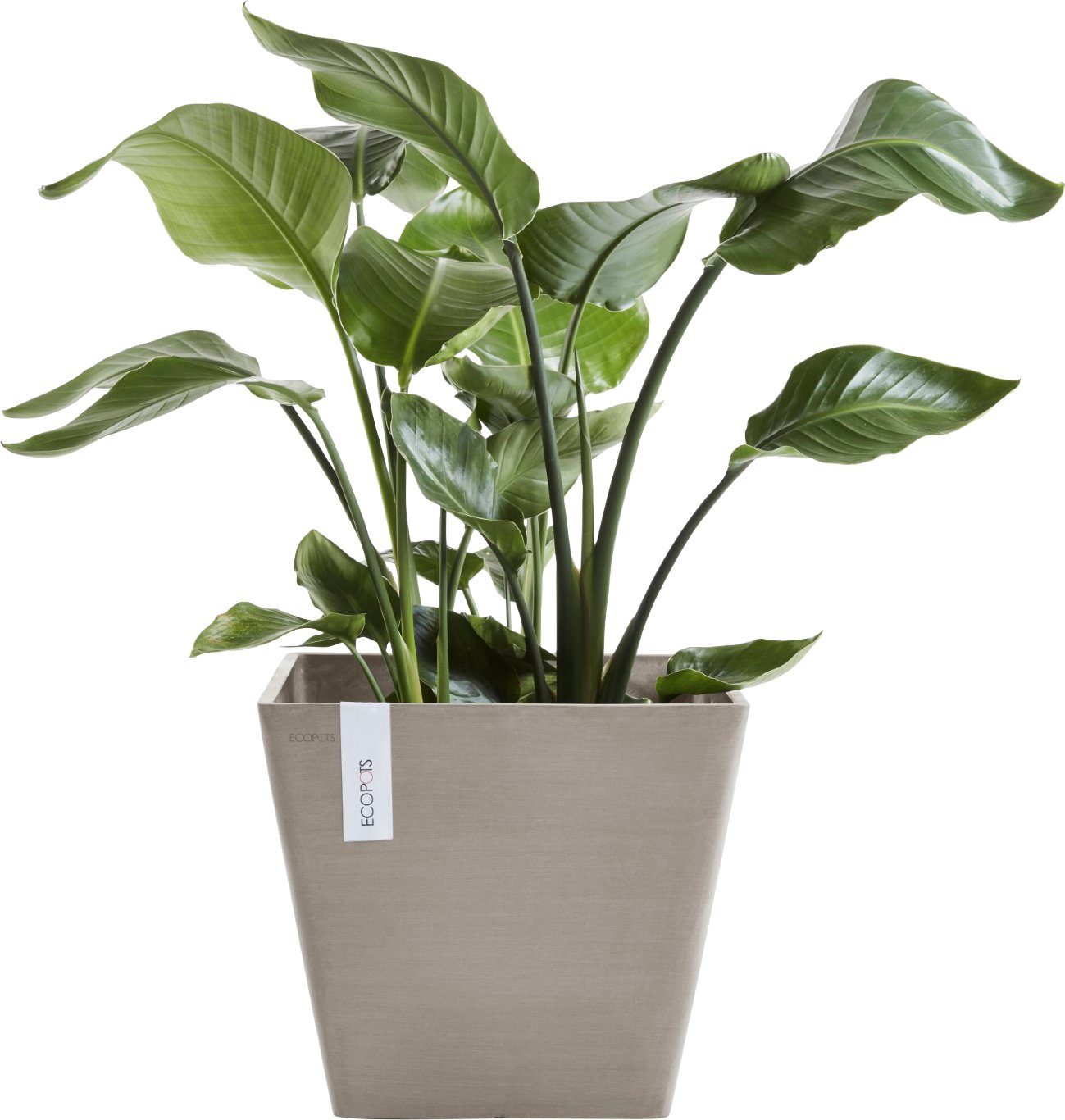 ECOPOTS Blumentopf ROTTERDAM Taupe, BxTxH: 40x40x35 cm