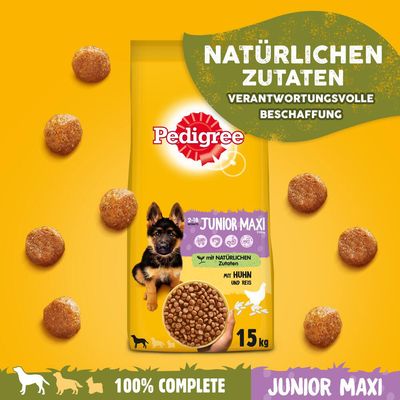 Pedigree Junior Maxi mit Huhn & Reis