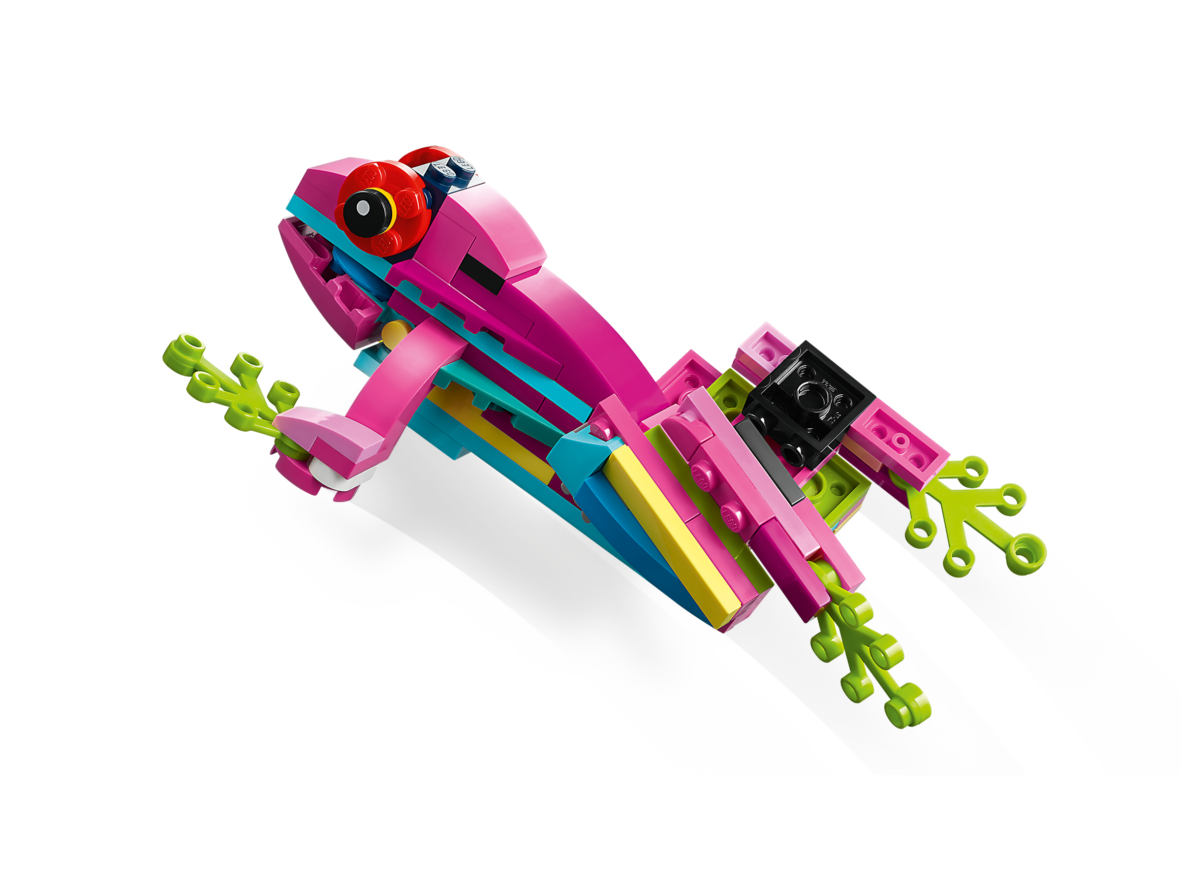 Exotischer pinkfarbener Papagei 31144