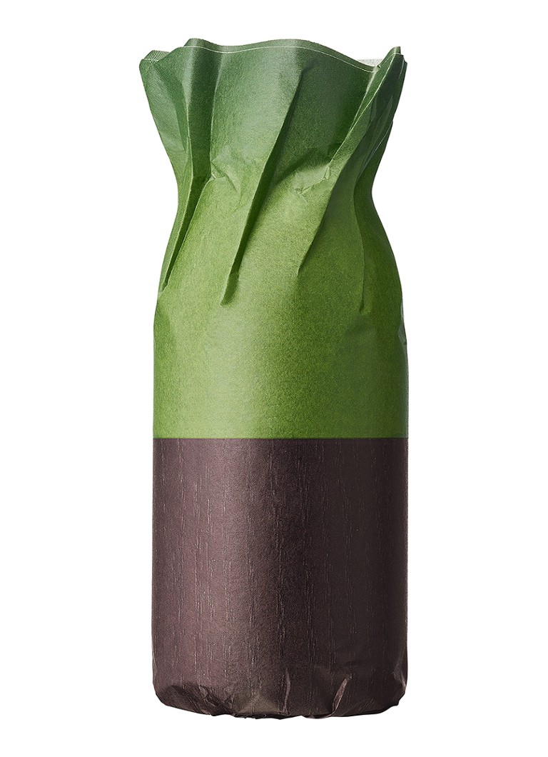 Ricarica Eau de Parfum Dries Van Noten Cannabis Patchouli