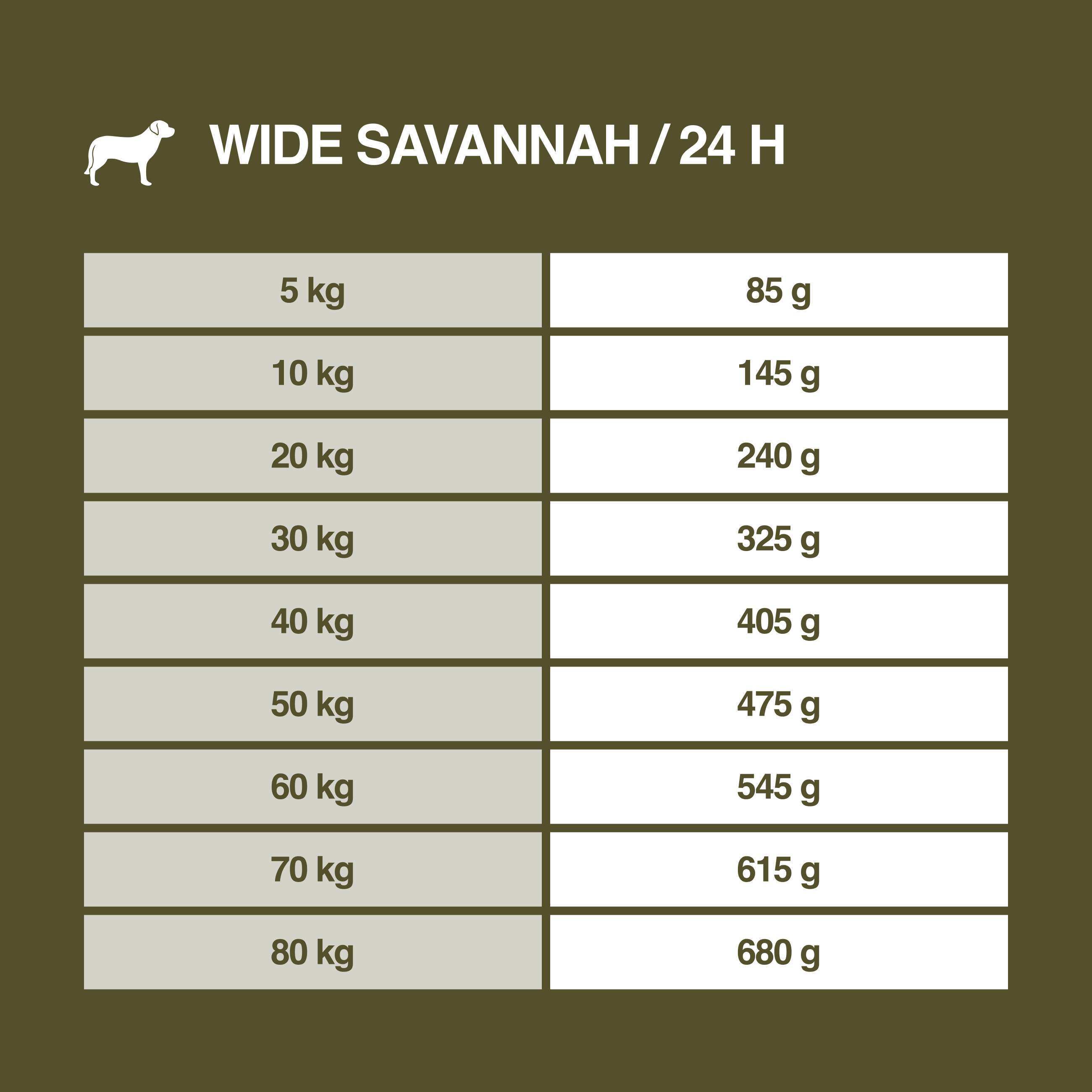 REAL NATURE Hundetrockenfutter REAL NATURE WILDERNESS Wide Savannah Wildschwein mit Lamm & Ente 2x12 kg