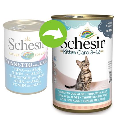 Schesir in Gelee 6 x 140 g