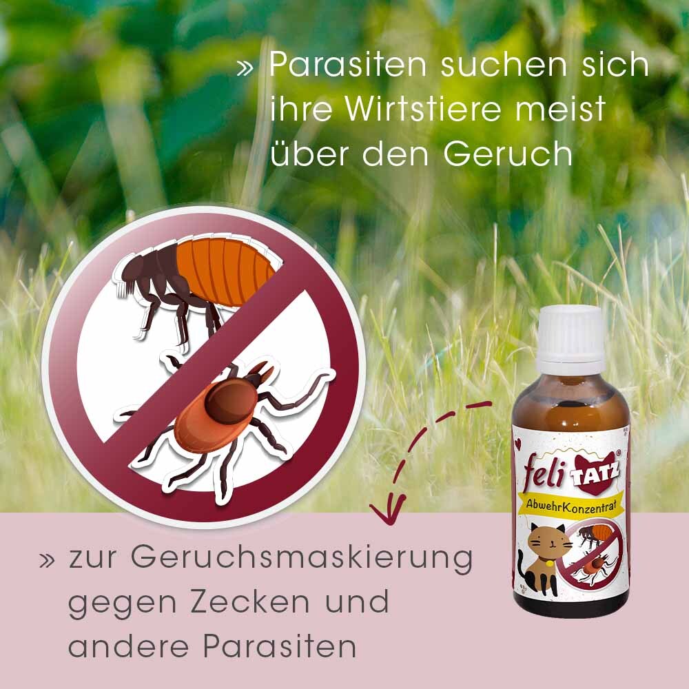 feliTATZ Ungeziefer- & Zeckenschutz feliTATZ AbwehrKonzentrat