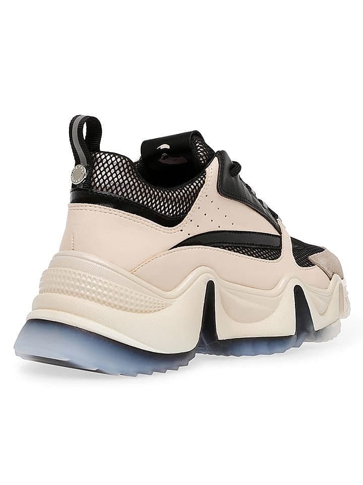 Steve Madden Sneakers 