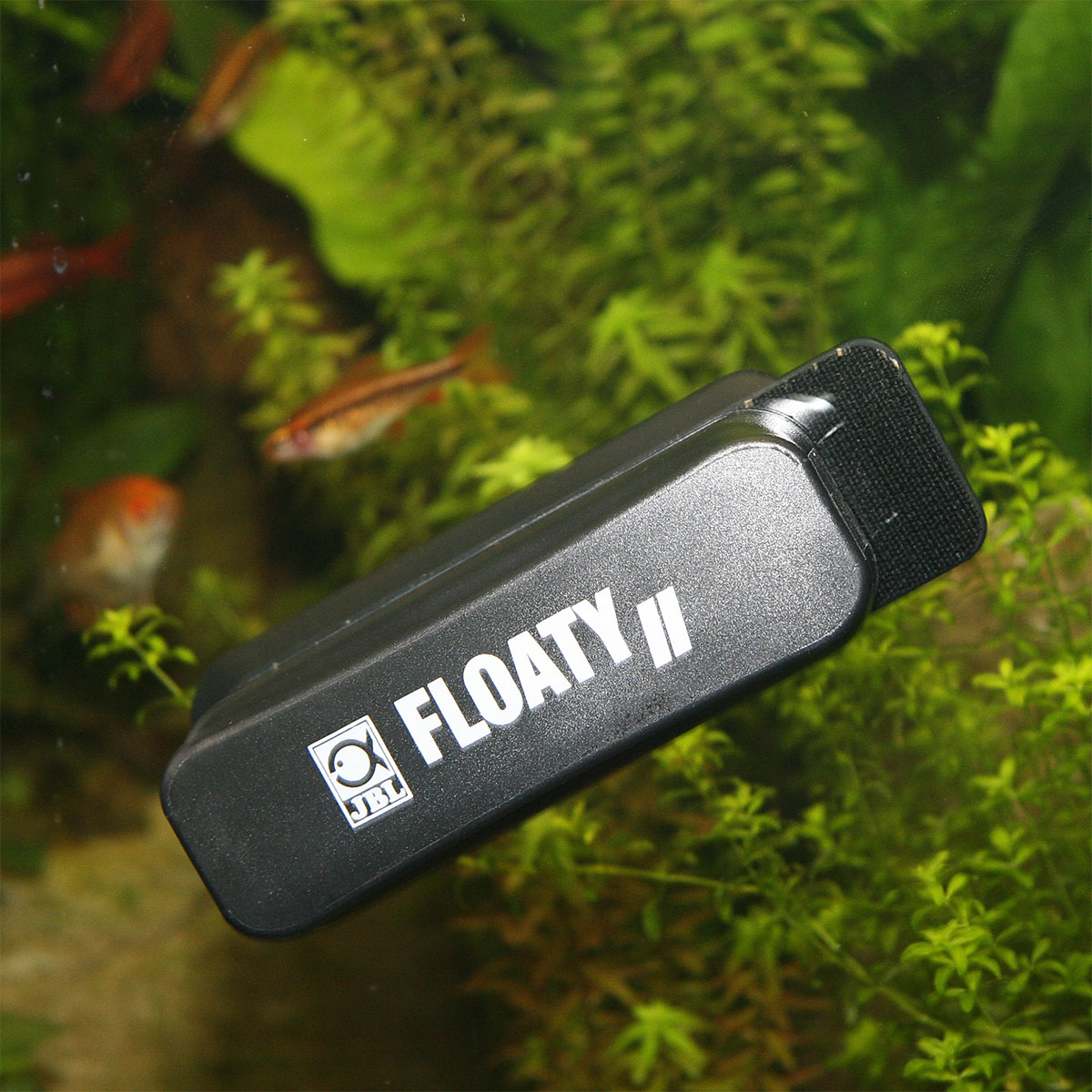 JBL Floaty II M - Der schwimmende Algenmagnet kaufen