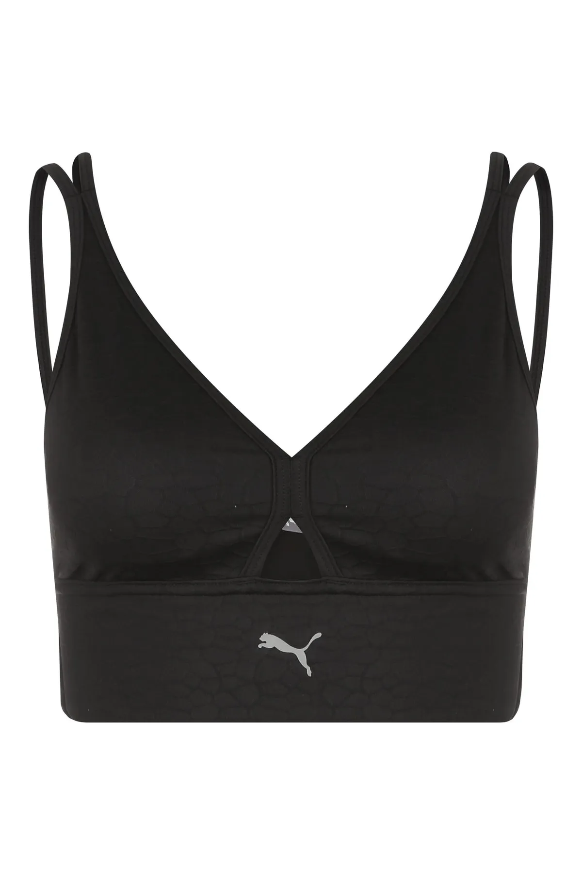 Puma  Mittlerer Einfluss, makellos