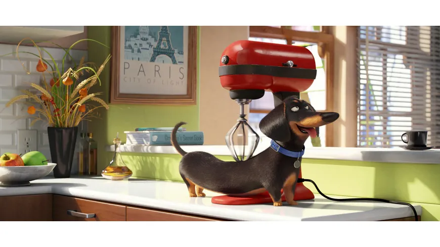 Pets (Illumination)