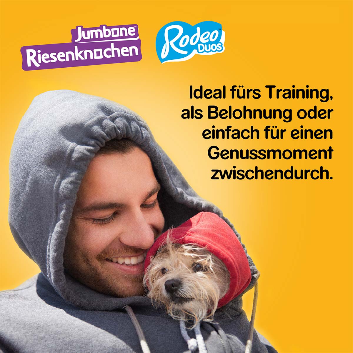 PEDIGREE Mega Box Snacks 780g günstig kaufen bei ZooRoyal