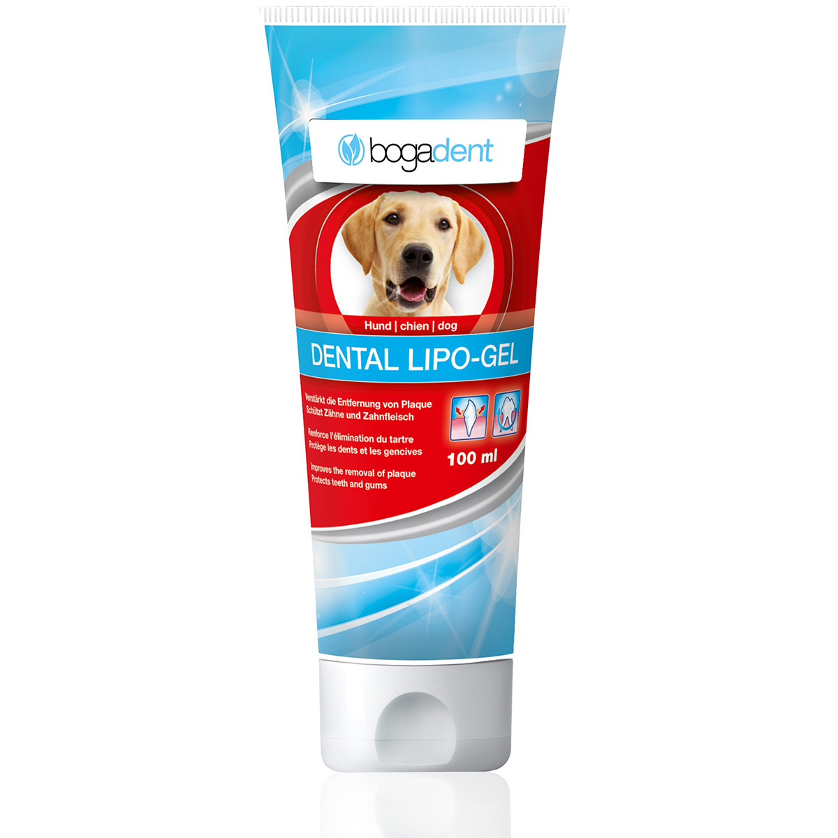 bogadent Dental Lipo-Gel Hund günstig kaufen bei ZooRoyal