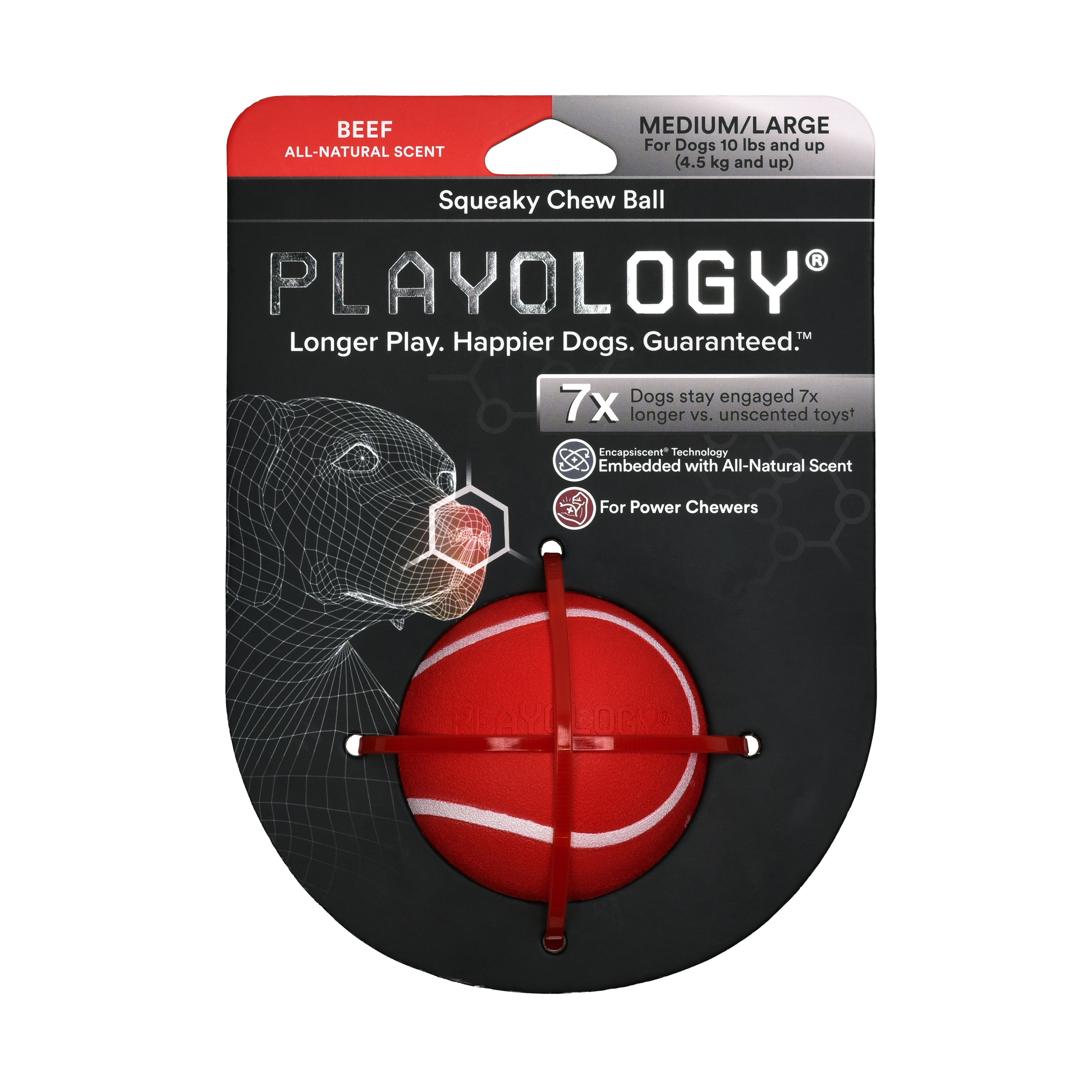 Playology Hundebälle Playology Squeaky Chew Ball Beef Medium