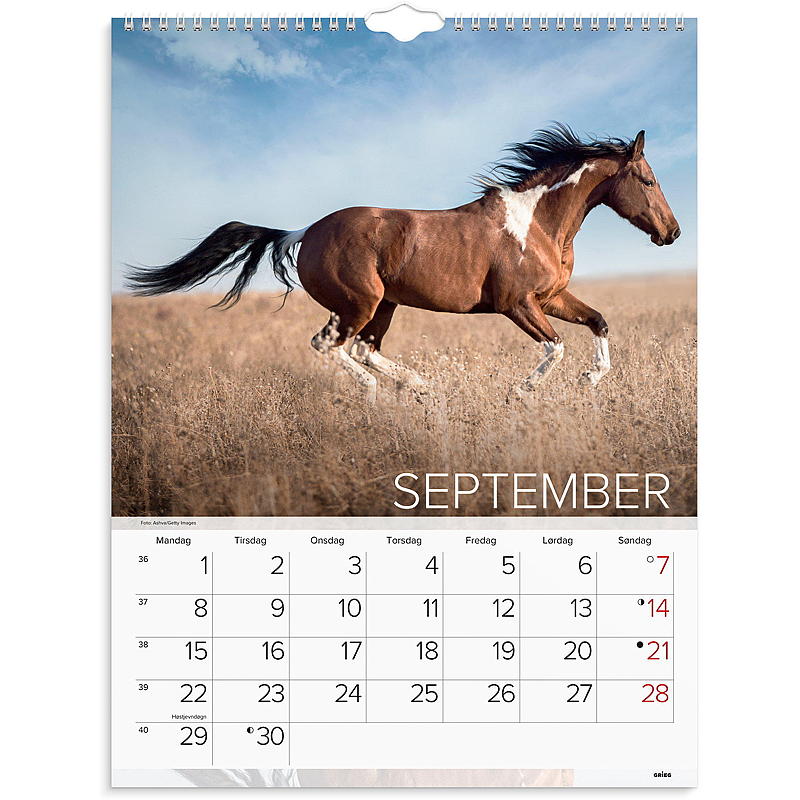 Veggkalender hester 2025