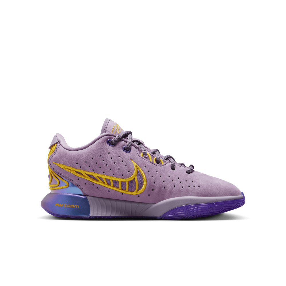 Nike LeBron FZ7189-500 / lila