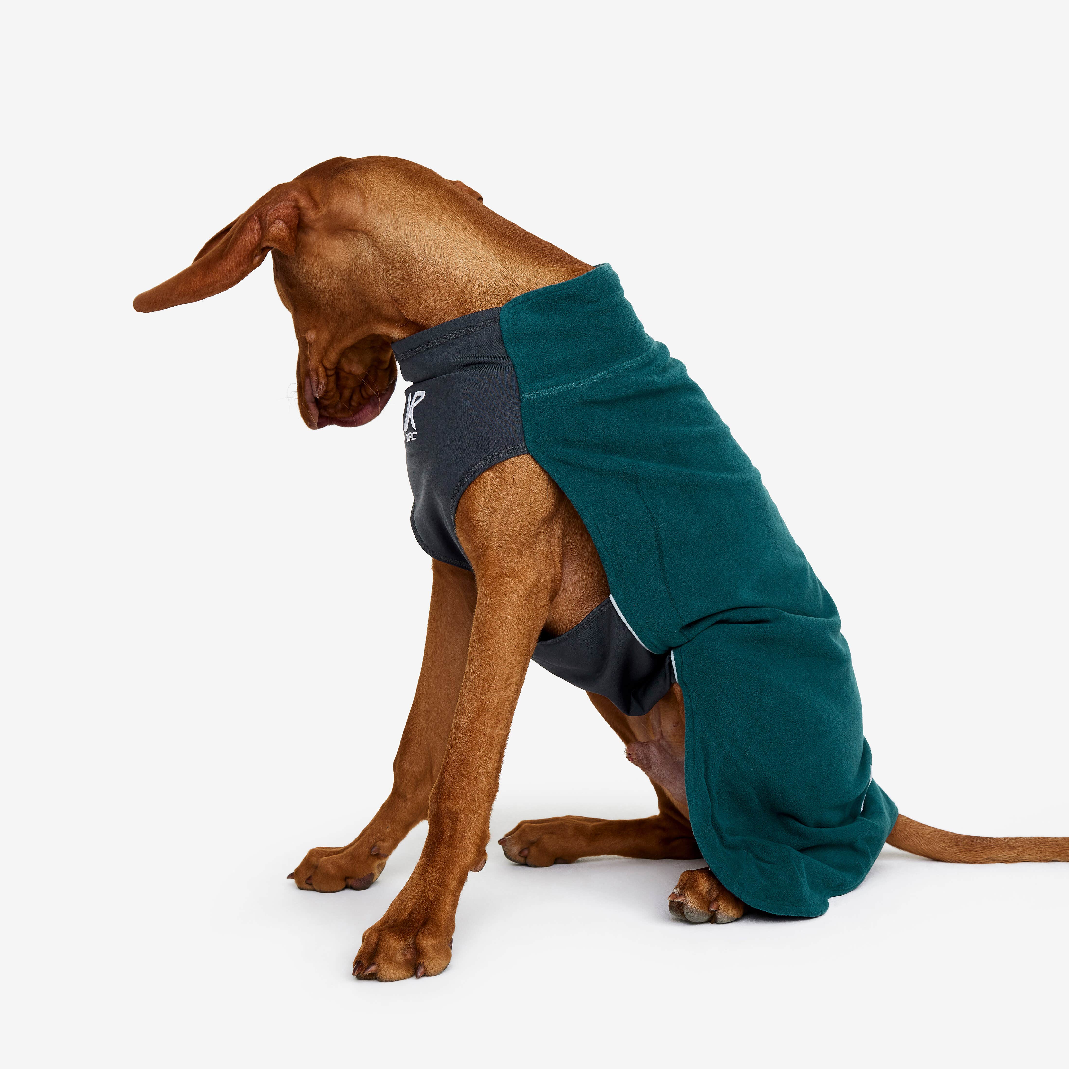 Trekker Fleece Chien Teal