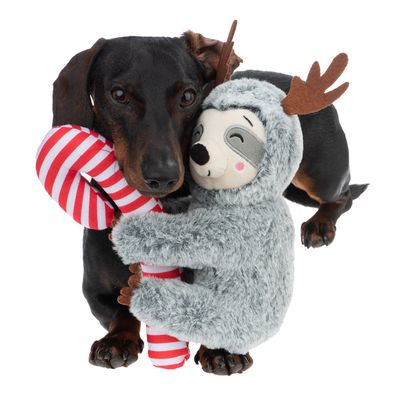Hundespielzeug Candy Sloth