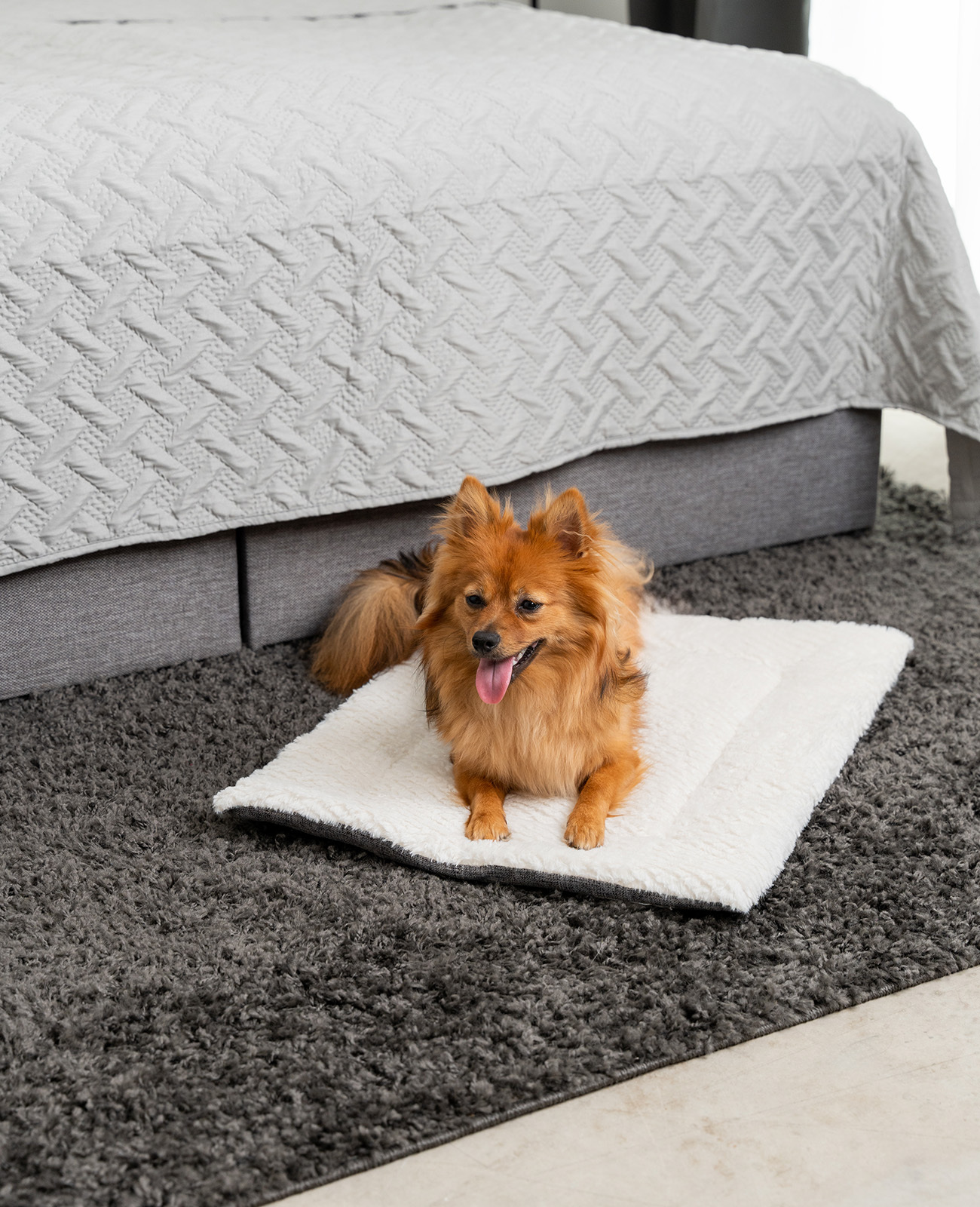 Lionto Hundebetten Lionto Wendedecke für Hunde & Katzen M
