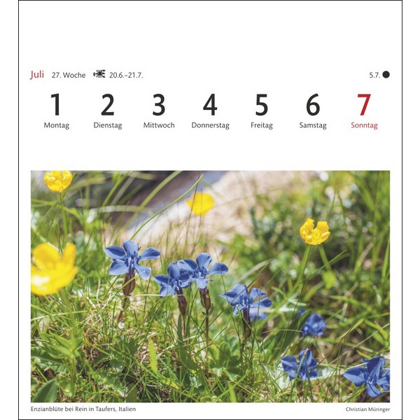 ALPEN SEHNSUCHTSKALENDER 2024. 53 POSTKARTEN - Kalender