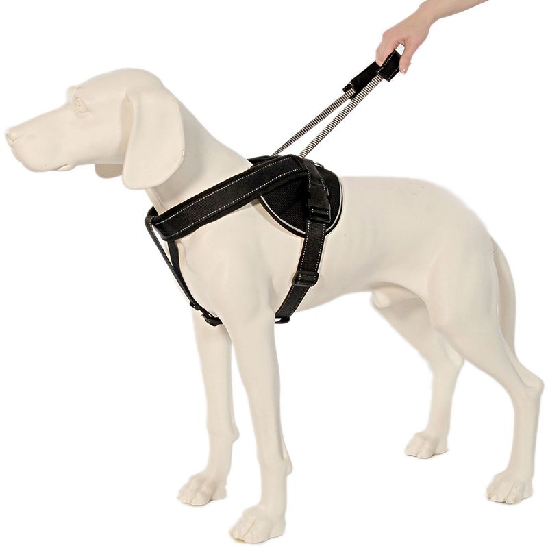 Patentopet Dog Control Geschirr schwarz zu TOP-Preisen | bitiba %