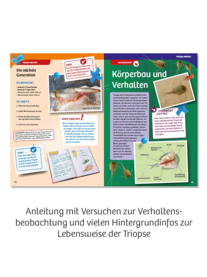 Kosmos Experimentierkasten Urzeitkrebse züchten Triops-Welt, 8-14 Jahre günstig kaufen onesize
