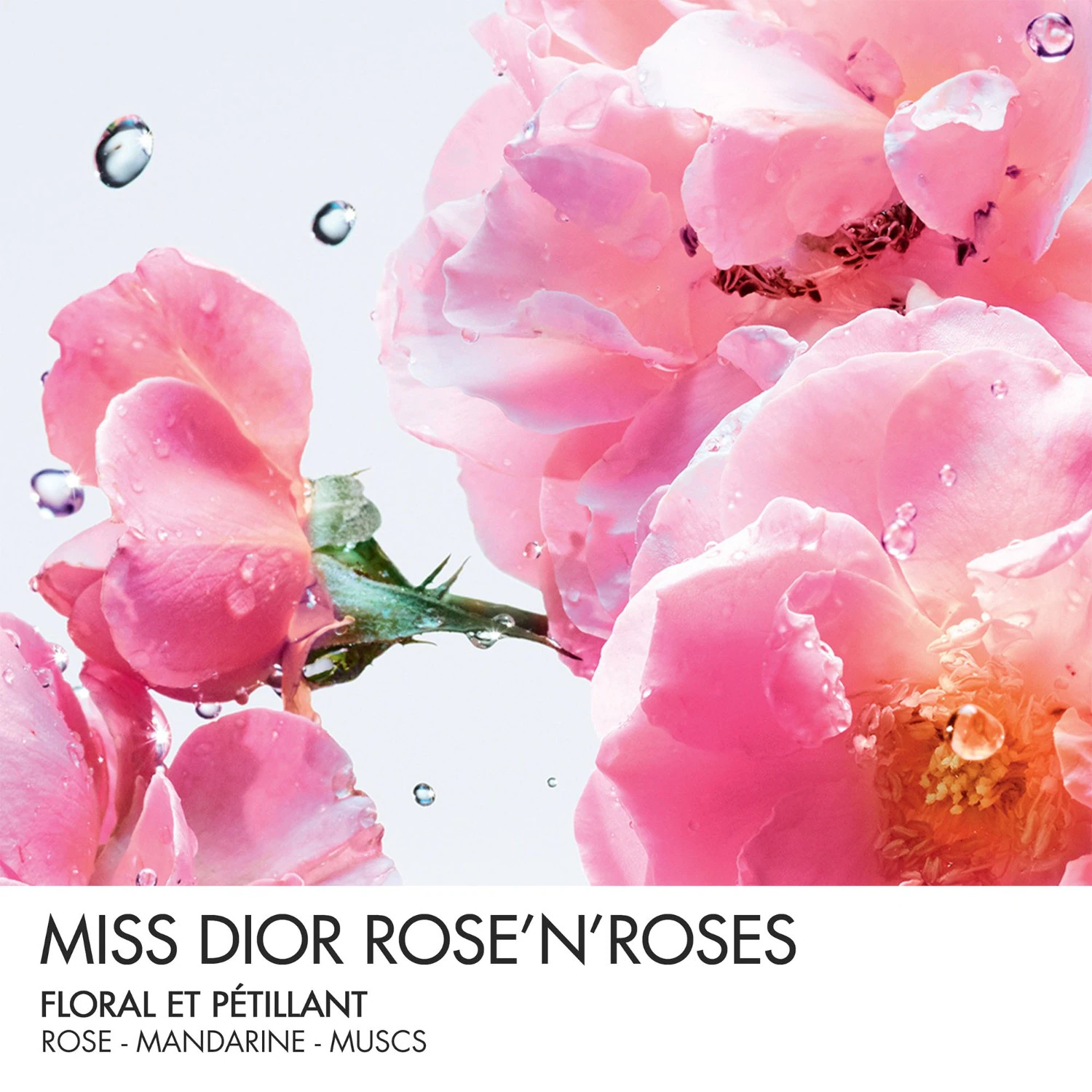 DIOR Rose N'Roses roll-perłowy - Kwiatowe i świeże nuty