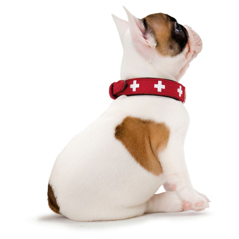 HUNTER Halsband Swiss zu TOP-Preisen